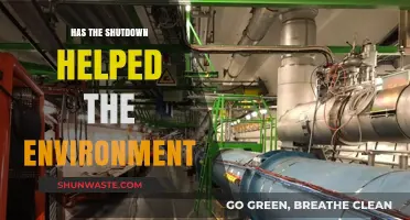 Shutdown's Silver Lining: Unintended Environmental Benefits and Lessons Learned