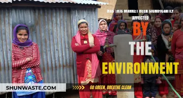Environmental Impact: How Ecosystems Shape Market Dynamics and Trends