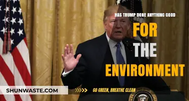 Trump's Environmental Legacy: Surprising Wins Amidst the Controversies