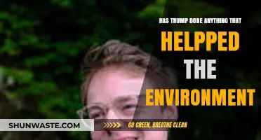 Trump's Environmental Legacy: Positive Impacts Amidst Controversy and Criticism