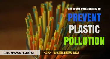 Trump's Actions on Plastic Pollution: Any Impact?