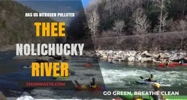 Nitrogen Pollution in Nolichucky River: A Troubling Concern