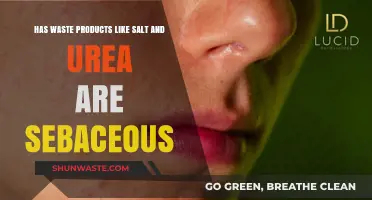 Are Salt and Urea Sebaceous Waste Products? Exploring the Truth