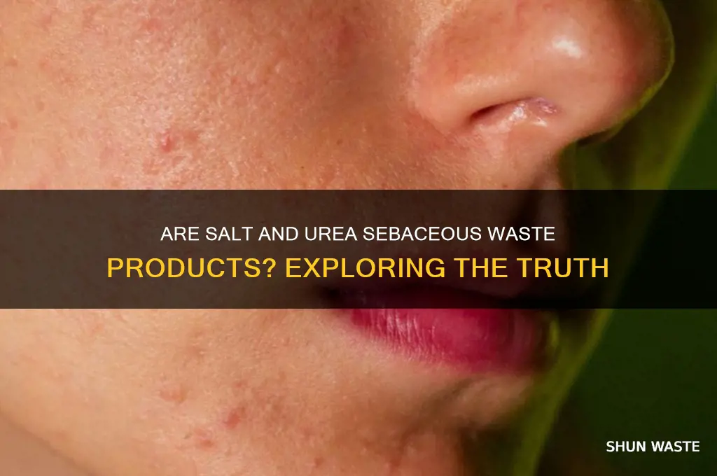 has waste products like salt and urea are sebaceous