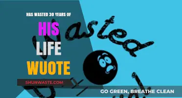 30 Years Lost: Reflecting on a Life of Wasted Potential and Regret