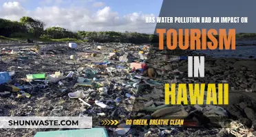 Hawaii's Tourism Crisis: Water Pollution's Impact on Paradise