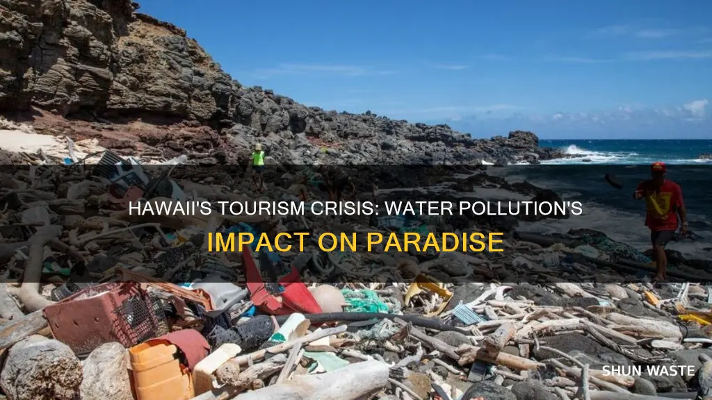 has water pollution had an impact on tourism in hawaii