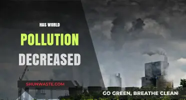 Pollution Levels: A Global Drop?