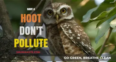 Protect the Planet: Hoot, Don't Pollute!