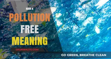 Green Living: A Pollution-Free Dream