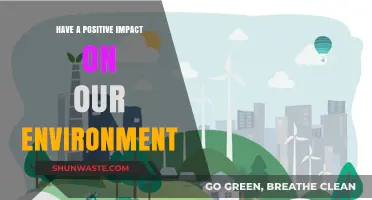 Sustainable Choices: How You Can Positively Impact Our Environment Today