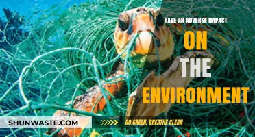 Human Activities and Their Devastating Environmental Consequences: A Critical Analysis
