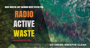 Bristol Bay Salmon: Tested for Radioactive Waste Contamination?