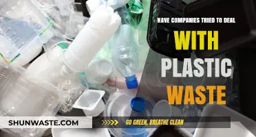 Corporate Efforts to Tackle Plastic Waste: Successes, Challenges, and Innovations