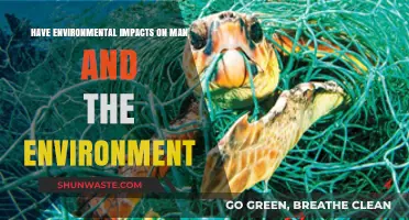 Environmental Impacts: How Human Actions Shape Our Planet's Future