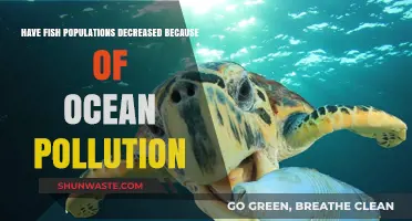 Ocean Pollution: Fish Populations at Risk
