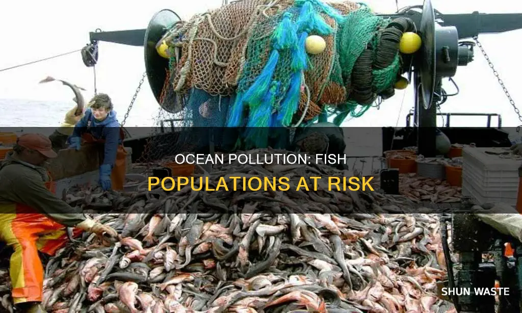 have fish populations decreased because of ocean pollution