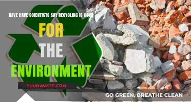 Recycling's Environmental Impact: What Scientists Say About Its Benefits