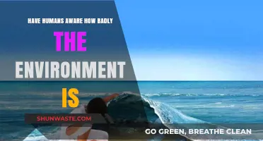 Are Humans Truly Aware of the Environment's Desperate Cry for Help?