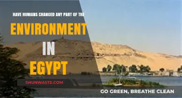 Human Impact on Egypt's Environment: Changes and Consequences Explored