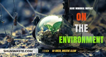 Sustainable Living: Simple Steps to Minimize Your Environmental Footprint
