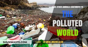 Animals' Unseen Impact: Pollution's Other Culprits
