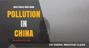 China's Pollution: A Deadly Issue