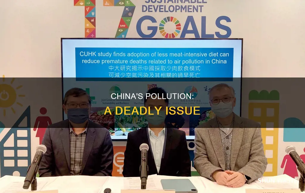 have people died from pollution in china