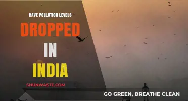 India's Pollution Levels: A Drop in the Ocean?