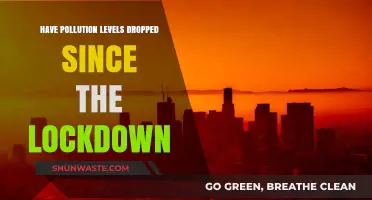 Lockdown's Impact: Pollution Levels Plummet