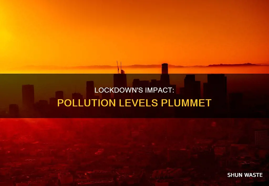 have pollution levels dropped since the lockdown