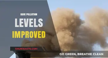 Air Quality: Have Pollution Levels Improved?