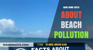 Beach Pollution: Facts You Need to Know