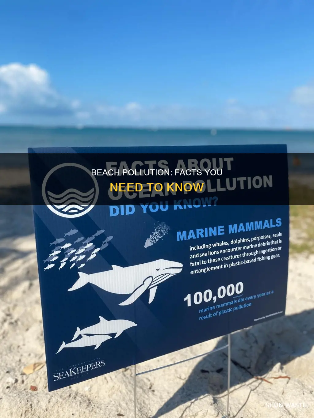 have some facts about beach pollution
