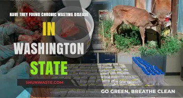 Chronic Wasting Disease Detected in Washington State: What You Need to Know