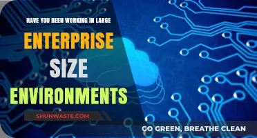 Navigating Complexity: Insights from Working in Large Enterprise Environments