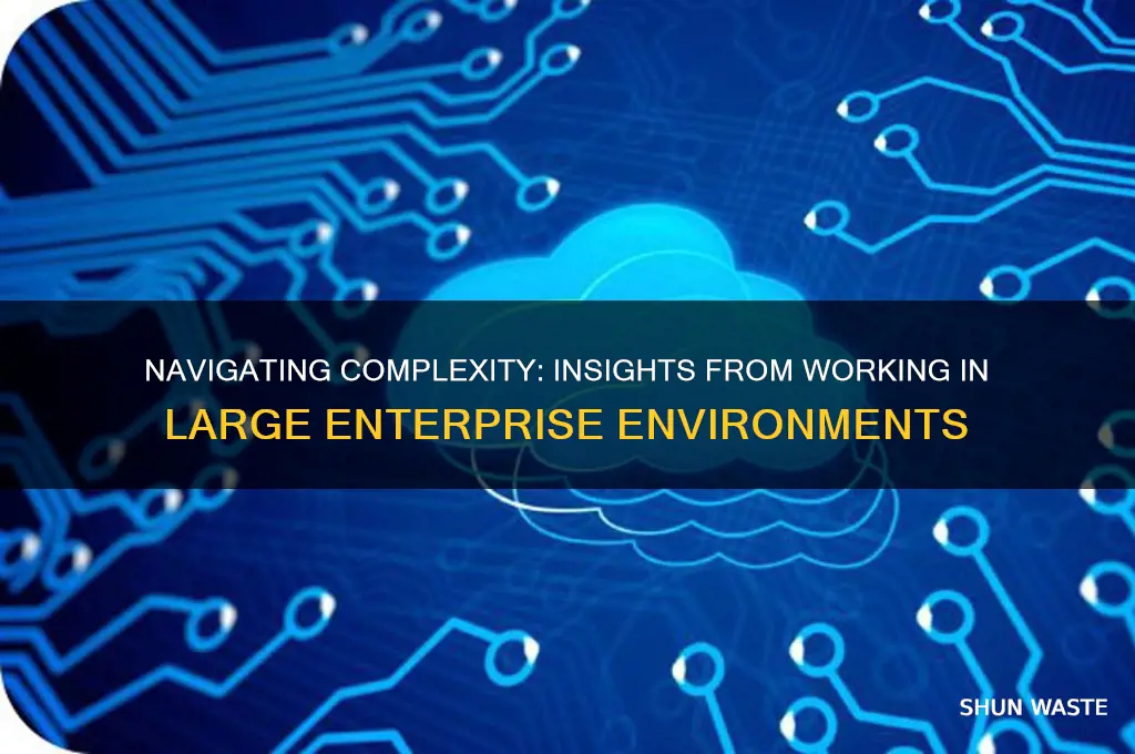 have you been working in large enterprise size environments