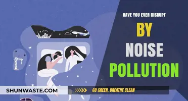 Noise Pollution: Disrupting Peace and Calm
