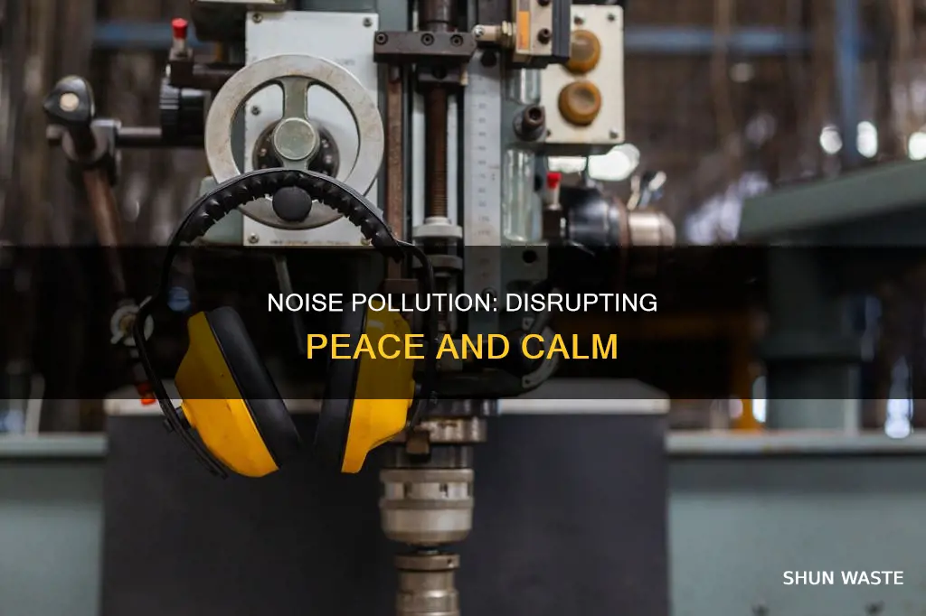 have you ever disrupt by noise pollution