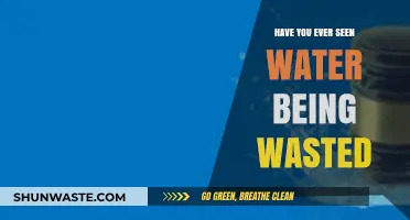 Stop the Flow: Addressing the Alarming Issue of Water Waste