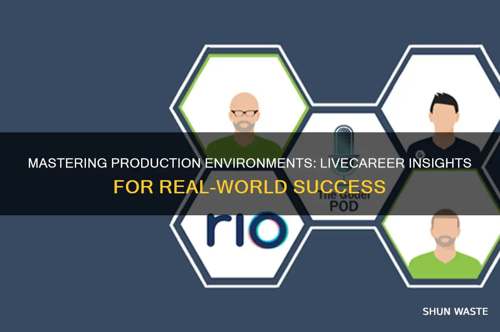 have you ever worked in a production environment livecareer