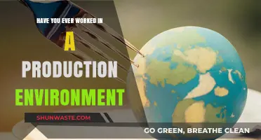 Navigating the Challenges and Rewards of Real-World Production Environments