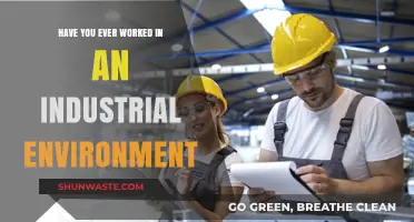 Experiencing the Industrial World: Insights from Working in Manufacturing Environments