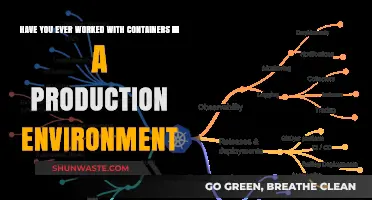 Mastering Container Deployment: Real-World Production Environment Experiences