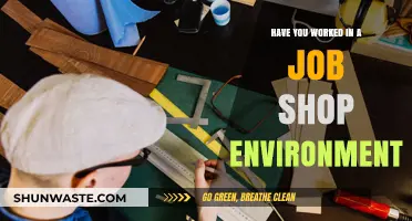 Job Shop Experience: Insights from Working in Dynamic Manufacturing Environments