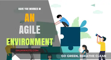 Agile Experience: Reflecting on Collaboration, Adaptability, and Success in Dynamic Teams