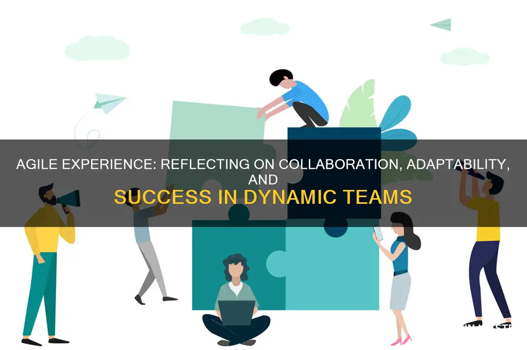 have you worked in an agile environment