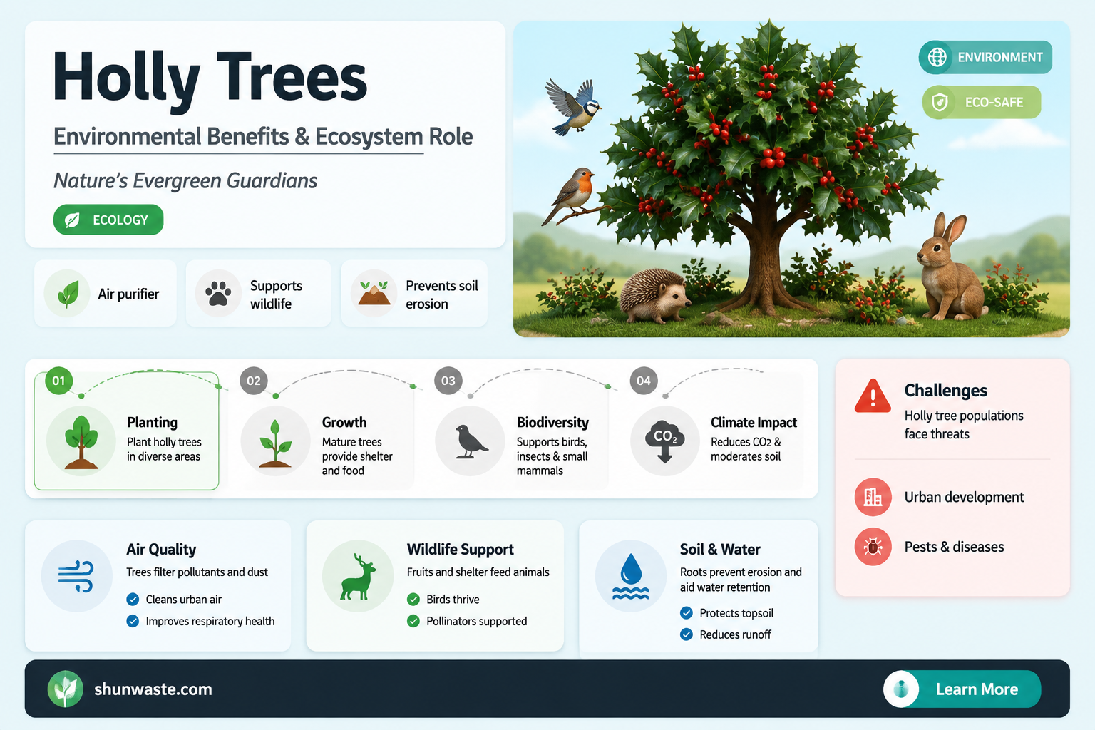 are holly trees good for the environment
