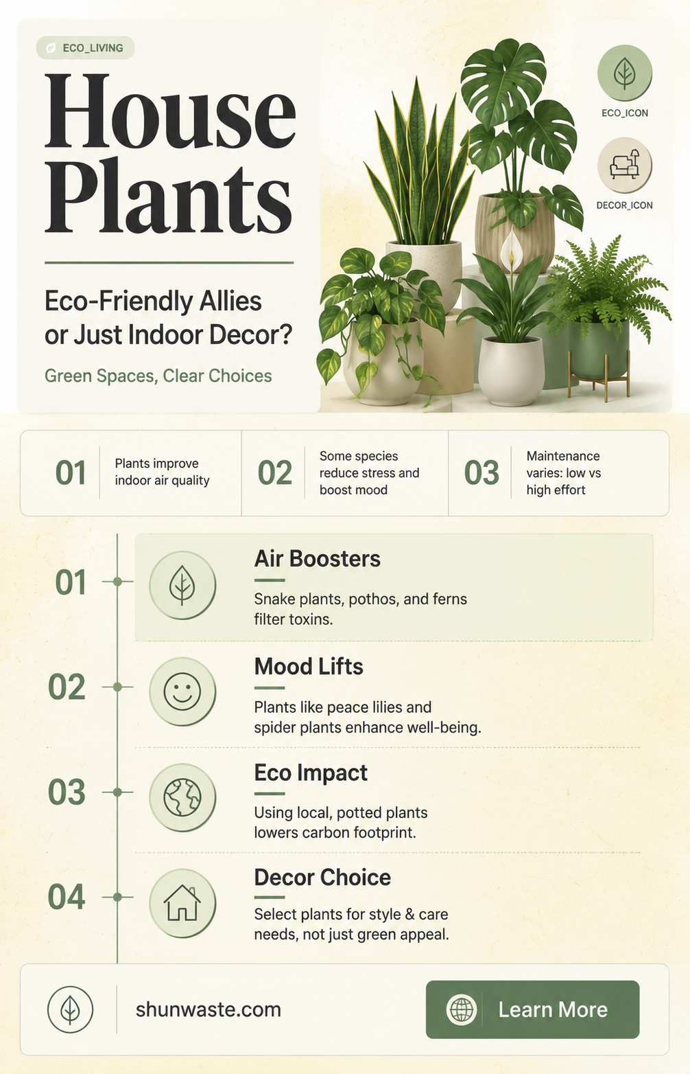 are house plants good for the environment