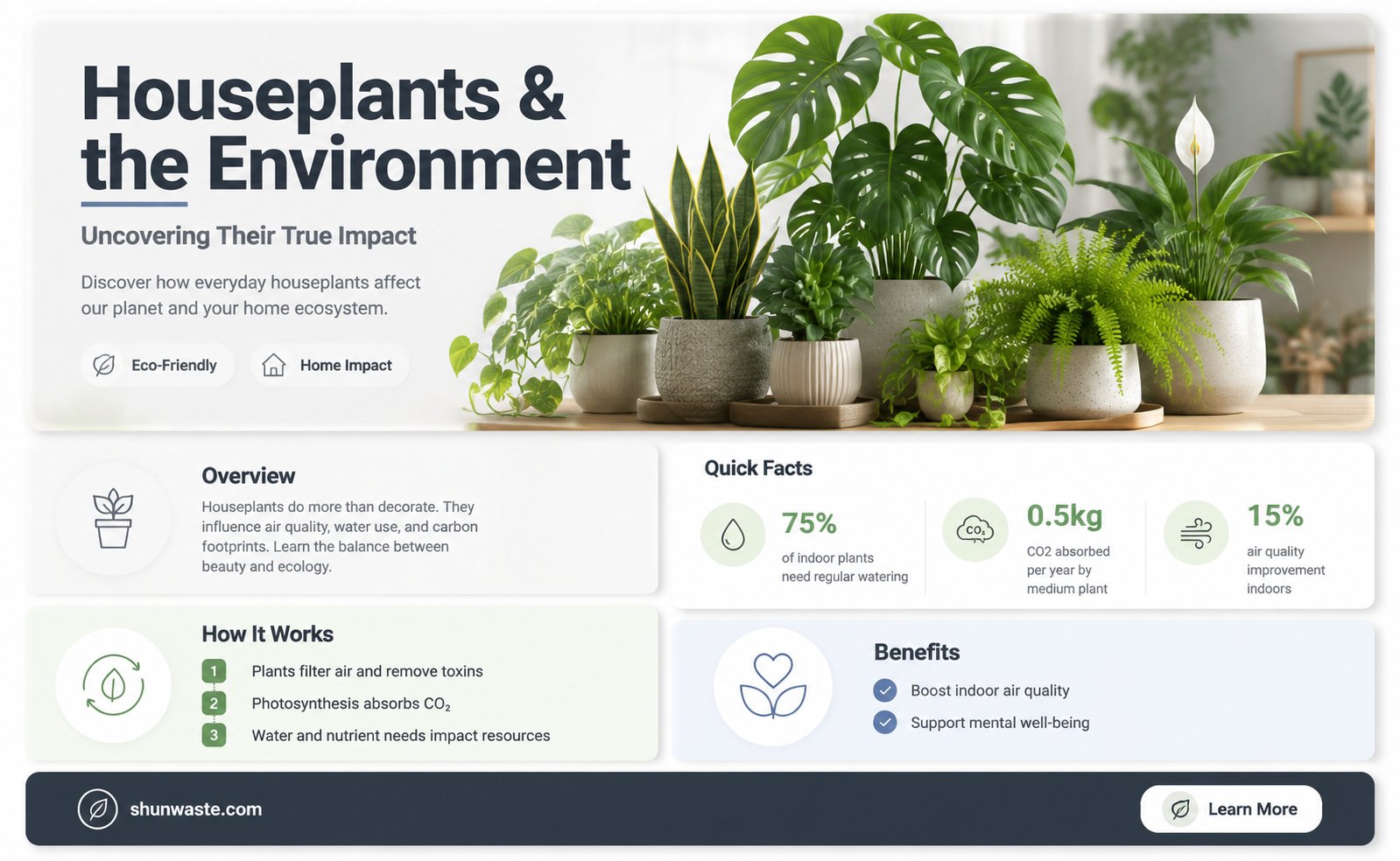 are houseplants bad for the environment
